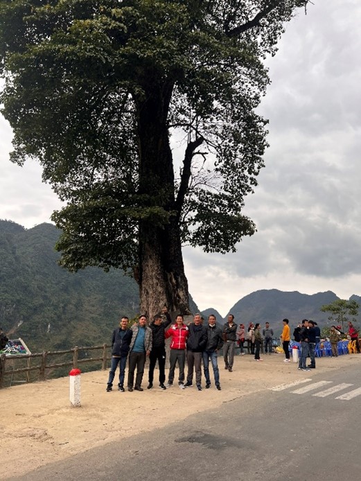 "Sungle tree" view point